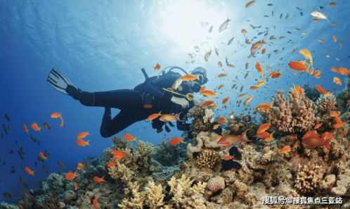 海棠·泰岳府 溫泉入戶，盡享康養度假雅居生活