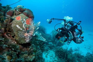 潛水設備 憑實力單身的“硬核”浪漫與邏輯分析